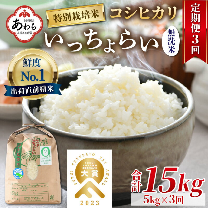 【ふるさと納税】【令和5年産】《定期便3回》特別栽培米 いっちょらい 無洗米 5kg（計15kg）／ 福井県産 ブランド米 コシヒカリ ご飯 白米 新鮮 大賞 受賞