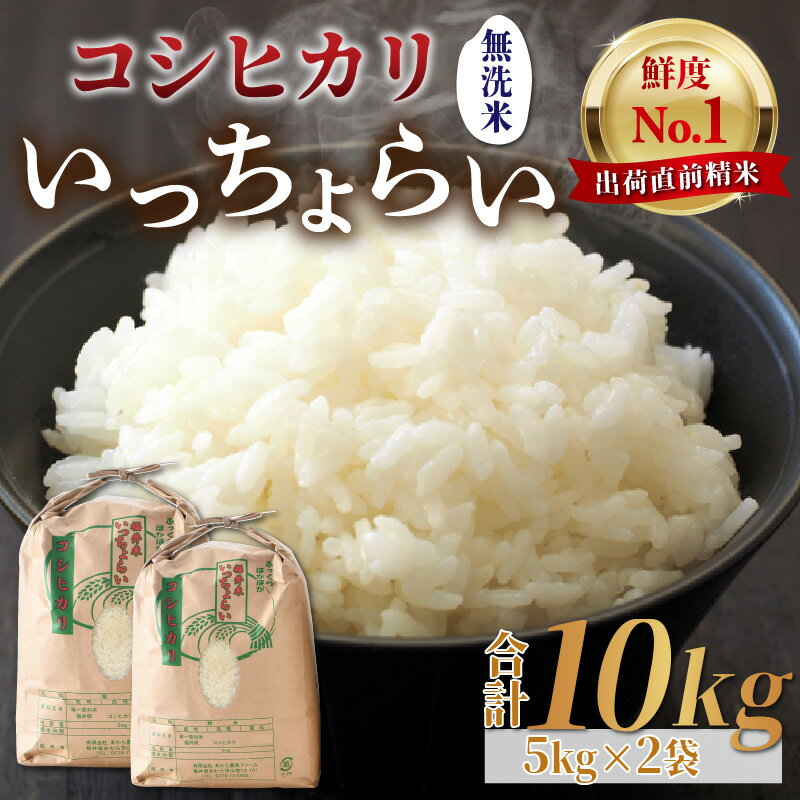 【ふるさと納税】福井県産「いっちょらい」 無洗米 5kg×2袋（10kg）コシヒカリ＜鮮度抜群＞