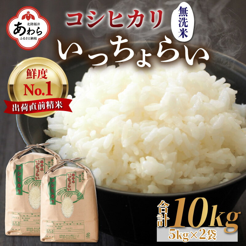 【ふるさと納税】福井県産「いっちょらい」 無洗米 5kg×2袋（10kg）コシヒカリ＜鮮度抜群＞