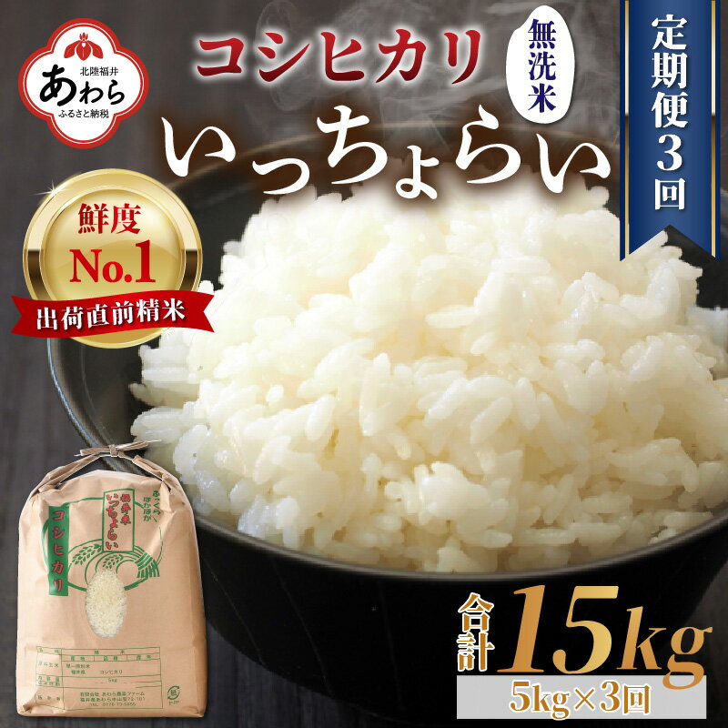 【ふるさと納税】【令和4年産新米】《定期便3回》いっちょらい 無洗米 5kg（計15kg）／ 福井県産 ブランド米 コシヒカリ ご飯 白米 新鮮