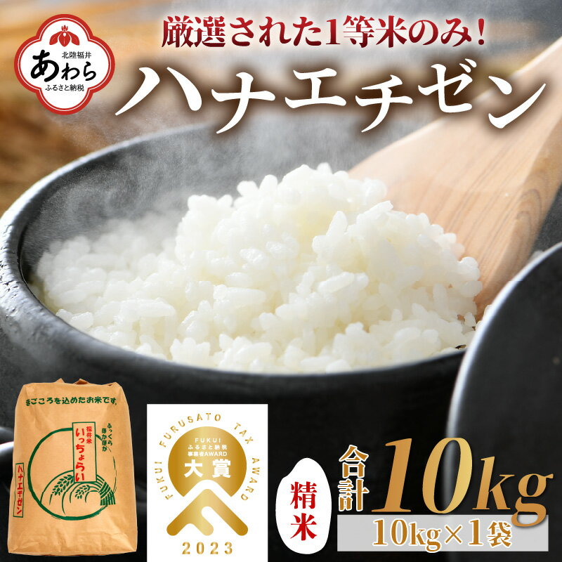 [先行予約][一等米]令和6年産 ハナエチゼン 精米 10kg ×1袋[発送直前精米!] / 福井県 あわら 北陸 米 お米 人気 大賞 受賞 新米 ※2024年9月上旬以降順次発送予定