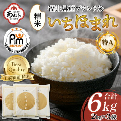 楽天ふるさと納税　【ふるさと納税】【令和5年産】いちほまれ 精米 2kg×3袋（計6kg）《お米マイスターが発送直前に精米！》／ 福井県産 ブランド米 ご飯 白米 新鮮