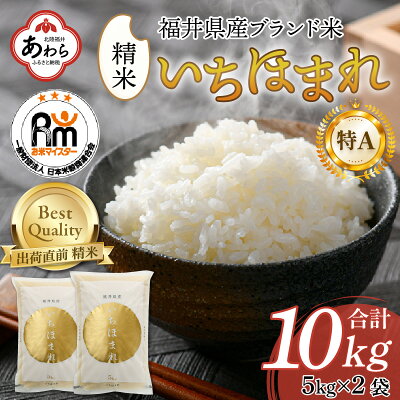 楽天ふるさと納税　【ふるさと納税】【令和5年産】いちほまれ 精米 5kg×2袋（計10kg）《お米マイスターが発送直前に精米！》／ 福井県産 ブランド米 ご飯 白米 新鮮