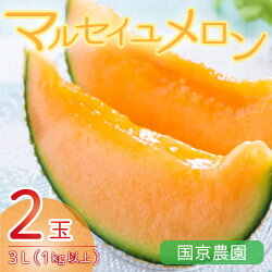 【ふるさと納税】【先行予約】マルセイユメロン 2玉入 3L（1kg以上×2玉）高糖度で抜群に美味しい赤肉メロン ／ 果物 フルーツ 産地直送 ※2023年6月上旬以降発送･･･ 画像1