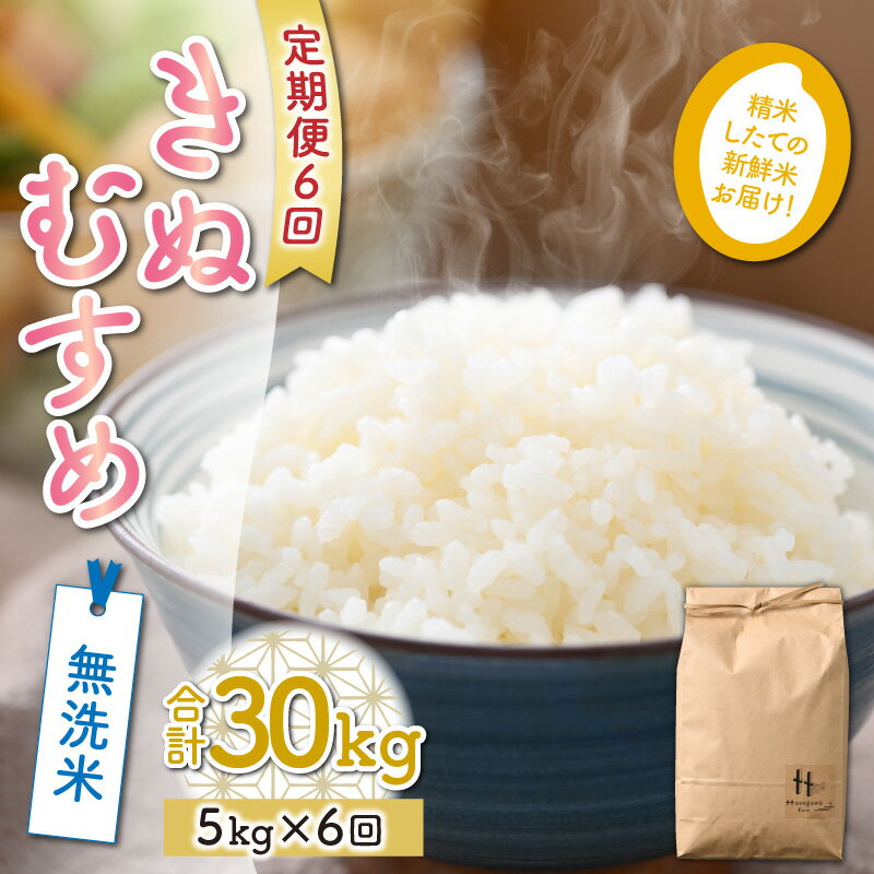 【ふるさと納税】【先行予約】全6回 定期便 令和4年産 新米 きぬむすめ 5kg 無洗米 福井県産 (5kg×1袋) 低農薬 有機肥料 白米 ブランド米 農家直送 産地直送 美味しいお米