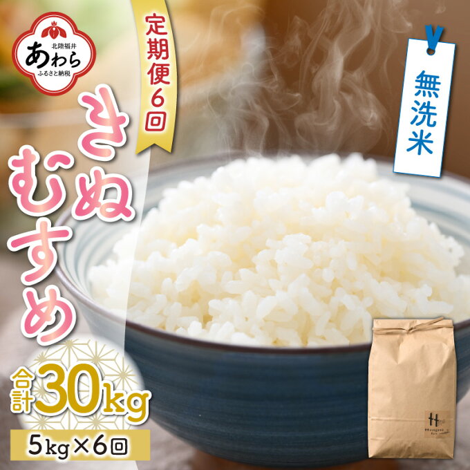 【ふるさと納税】【先行予約】《全6回定期便》きぬむすめ 5kg 無洗米 福井県産（5kg×1袋）令和4年産＜食味値85点以上！低農薬で体に優しい栽培方法で作る美味しいお米＞