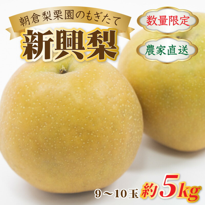 【ふるさと納税】【先行予約】《数量限定》新興梨 9～10玉入 約5kg 歯ごたえ抜群！ もぎたて 新鮮 ／ 期間限定 果物 フルーツ 農家直送 お取り寄せ 新興 梨 なし 福井県 あわら市※2024年10月中旬より順次発送