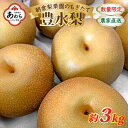 【ふるさと納税】【先行予約】《数量限定》豊水梨 7～8玉入 約3kg もぎたて 新鮮 ／ 期間限定 果物 フルーツ 農家直送 お取り寄せ 豊水 梨 なし 福井県 あわら市 あわら産 2024年9月上旬より順…