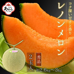 【ふるさと納税】【先行予約】レノンメロン 3L 2玉入 約2.6～3kg《秀品》コク深い甘さ・香りいっぱいのメロン！農家直送 有機肥料 低農薬 赤肉 マスクメロン 高級メロン ※2023年6月下旬以降発送