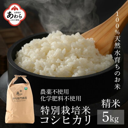 【先行予約】【令和6年産】コシヒカリ 精米 5kg 特別栽培米 無農薬 化学肥料不使用 / 伊与衛門農園の特別栽培米 高品質 鮮度抜群 福井県 あわら市産 ブランド米 R6 新米 北陸 白米 お米 ご飯 ※2024年9月下旬以降順次発送予定