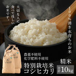 【ふるさと納税】【先行予約】【令和5年産新米】コシヒカリ 精米 5kg×2袋（計10kg）特別栽培米 農薬不使用 化学肥料不使用 ／ 高品質 鮮度抜群 福井県あわら産 ブランド米 白米 ＜出荷直前精米でお届け！＞･･･ 画像2