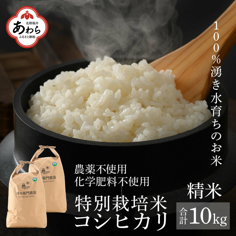 【ふるさと納税】【先行予約】【令和5年産新米】コシヒカリ 精米 5kg×2袋（計10kg）特別栽培米 農薬不使用 化学肥料不使用 ／ 高品質 鮮度抜群 福井県あわら産 ブランド米 白米 ＜出荷直前精米でお届け！＞･･･