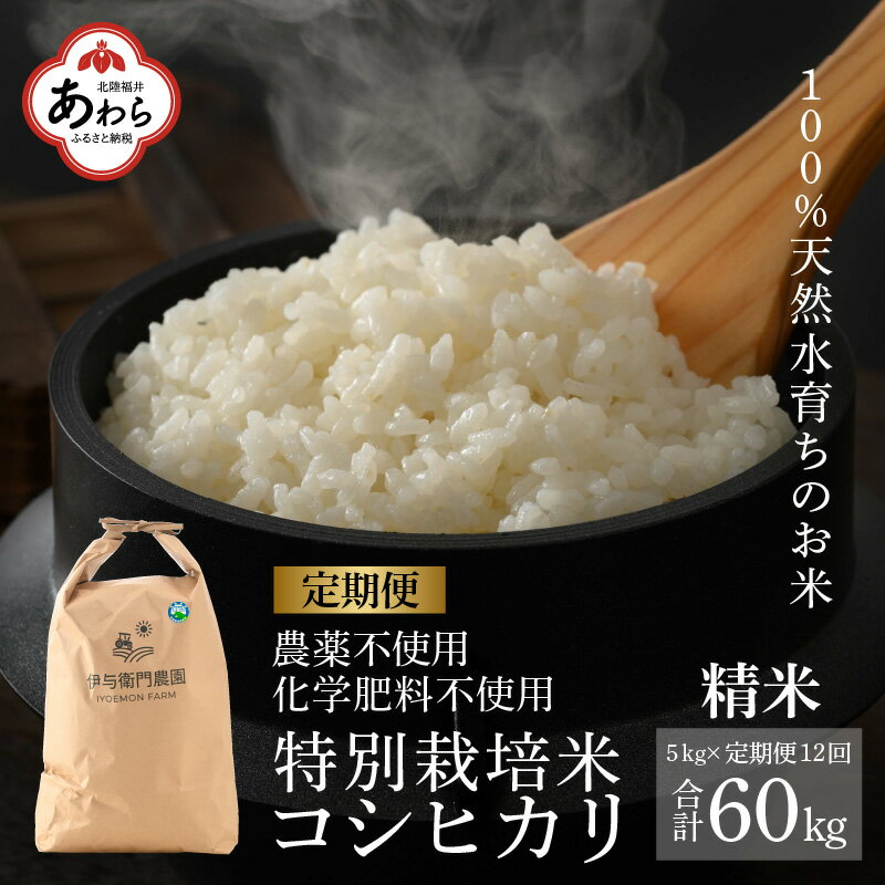 [先行予約][令和6年産][定期便12回]コシヒカリ 精米 5kg (計60kg)特別栽培米 / 伊与衛門農園の特別栽培米 高品質 鮮度抜群 福井県 あわら市産 ブランド米 R6 新米 北陸 白米 お米 ご飯 ※2024年9月下旬以降順次発送予定