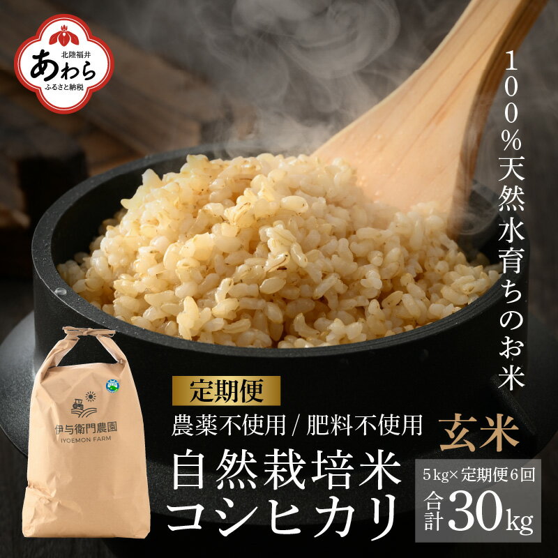楽天福井県あわら市【ふるさと納税】【定期便6回】伊与衛門農園の自然栽培コシヒカリ玄米 5kg×6回 伊与衛門農園の特別栽培米 令和5年産＜温度と湿度を常時管理し新鮮米を出荷！＞ / 米 高品質 鮮度抜群 ブランド米 福井県あわら市産 スマート農業 お米 ※2023年10月下旬より発送