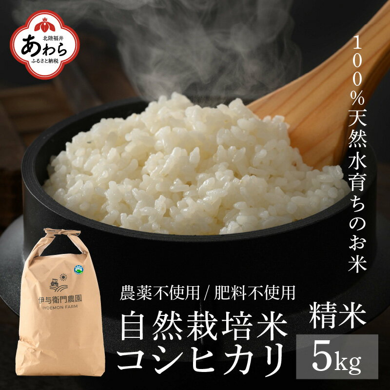 【福井県認証米】伊与衛門農園の自然栽培コシヒカリ精米 5kg 伊与衛門農園の特別栽培米 令和5年産 ＜温度と湿度を常時管理し新鮮米を出荷！＞ / 米 白米 自然の力 高品質 鮮度抜群 ブランド米 福井県 あわら市産 スマート農業 ※2023年10月下旬より発送