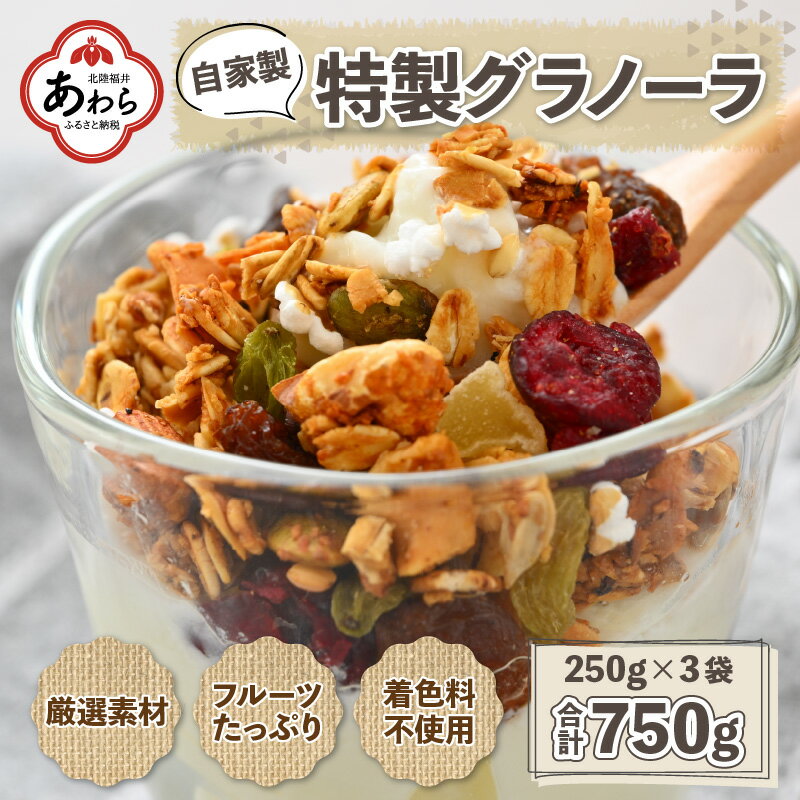 【ふるさと納税】自家製 フルーツグラノーラ 250g×3袋（