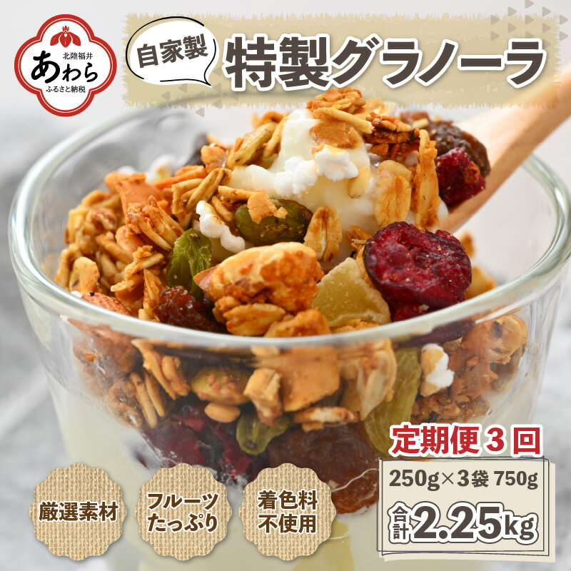 [定期便3回]自家製 フルーツグラノーラ 250g×3袋 750g(計2.25kg)[配合や素材にこだわり1つ1つ手作り!]/ 着色料不使用 オーガニック 果物 ドライフルーツ オートミール ヨーグルト 牛乳