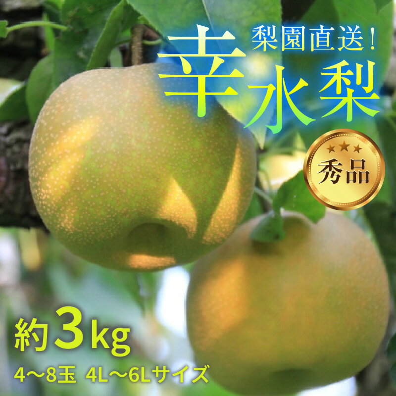 【ふるさと納税】【先行予約】上野梨園の幸水梨 約3kg 4L～6L【秀品】《数量限定》梨園直送！ / 期間限定 果物 フルーツ 農家直送 シャキシャキ もぎたて 旬 お取り寄せ ※2024年8月下旬より順次発送