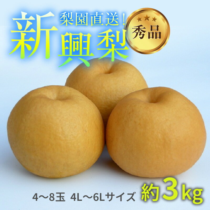 【ふるさと納税】【先行予約】上野梨園の新興梨 約3kg 4L～6L【秀品】《数量限定》梨園直送！ / 期間限定 果物 フルーツ 農家直送 シャキシャキ もぎたて 旬 お取り寄せ ※2024年10月上旬より順次発送