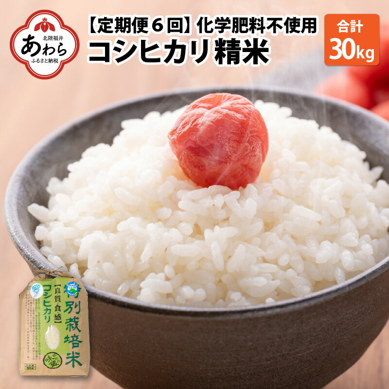 [令和5年産][定期便6回] 化学肥料不使用コシヒカリ 精米 5kg×6回 / 白米 米 福井県あわら市産 美味しい 特別栽培米 減農薬 安心な米 旨味 甘み もっちり エコファーマー こしひかり 冷蔵保管米