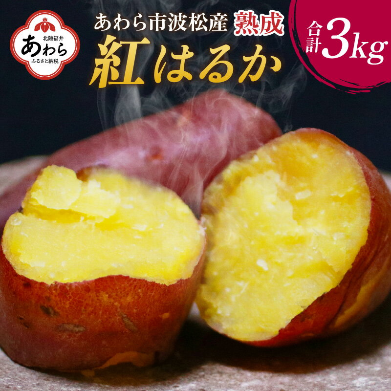 【先行予約】【ふるさと納税】あわら市波松産 紅はるか3kg 