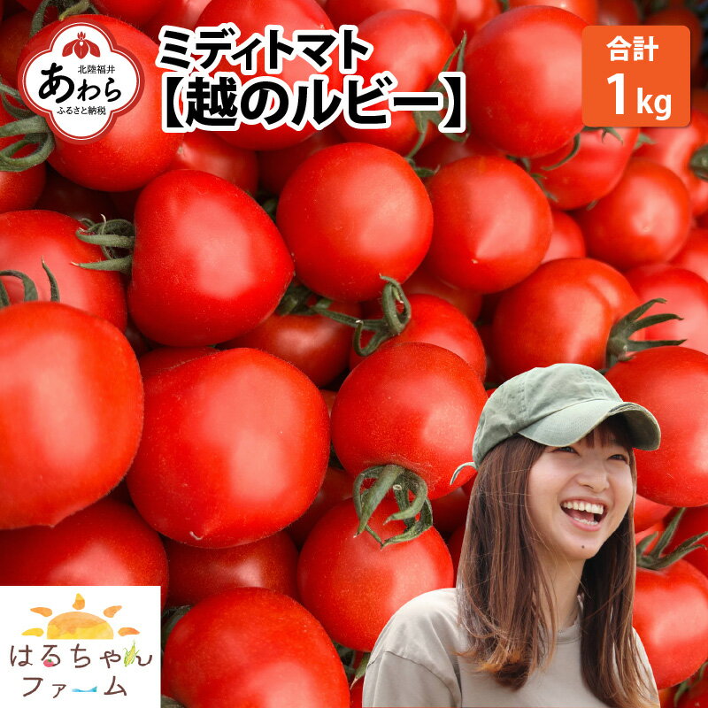 野菜・きのこ(トマト)人気ランク20位　口コミ数「0件」評価「0」「【ふるさと納税】【先行予約】ミディトマト【越のルビー】 1kg（5パック） ／ 高糖度 完熟 福井県 あわら市 低農薬 福井ブランド ジューシー トマトが苦手な人にも 農家直送 朝採れ 完熟収穫 ※2024年6月中旬より準備出来次第発送」