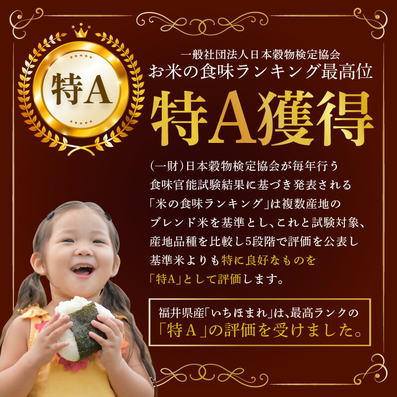 【ふるさと納税】【令和5年産】定期便6回 いちほまれ 玄米 5kg×6回（計30kg）《新鮮な高品質米をお届け！》／ 健康志向 ダイエット ごはん お米