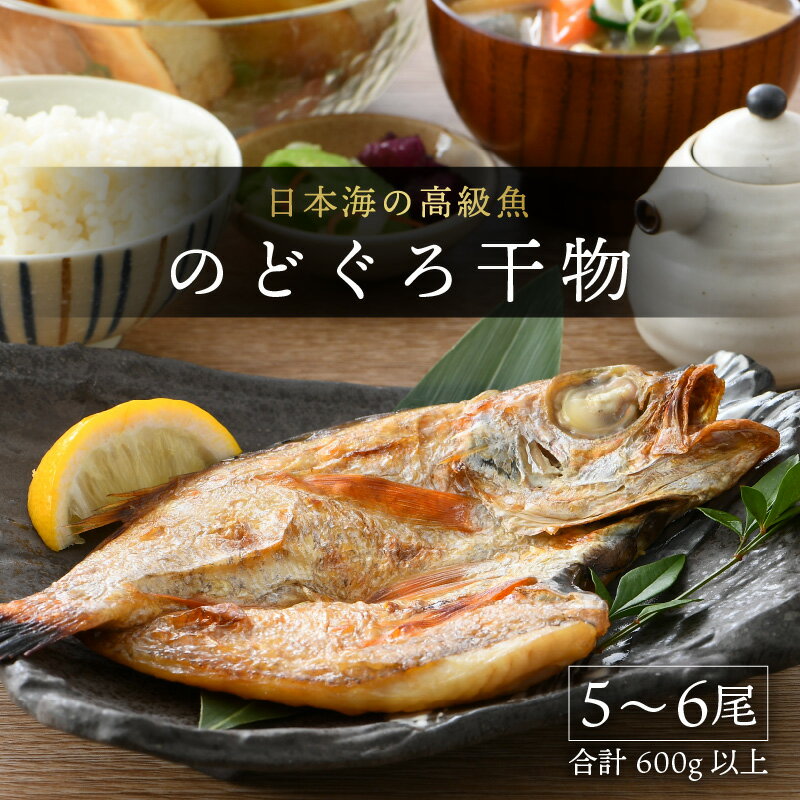 【ふるさと納税】日本海の高級魚 のどぐろ干物 5~6尾 600g以上/ ビール 焼き魚 おつまみ 魚介類 海の幸 国産 個包装 お取り寄せ