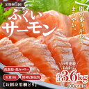 【ふるさと納税】《定期便6回》ふくいサーモン 柵どり 150g×4パック 計600g <鮮度抜群!真空冷凍> / 生食OK 刺身 鮭 国産
