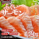 【ふるさと納税】《定期便12回》ふくいサーモン 柵どり 150g×4パック 計600g <鮮度抜群!真空冷凍> / 生食OK 刺身 鮭 国産