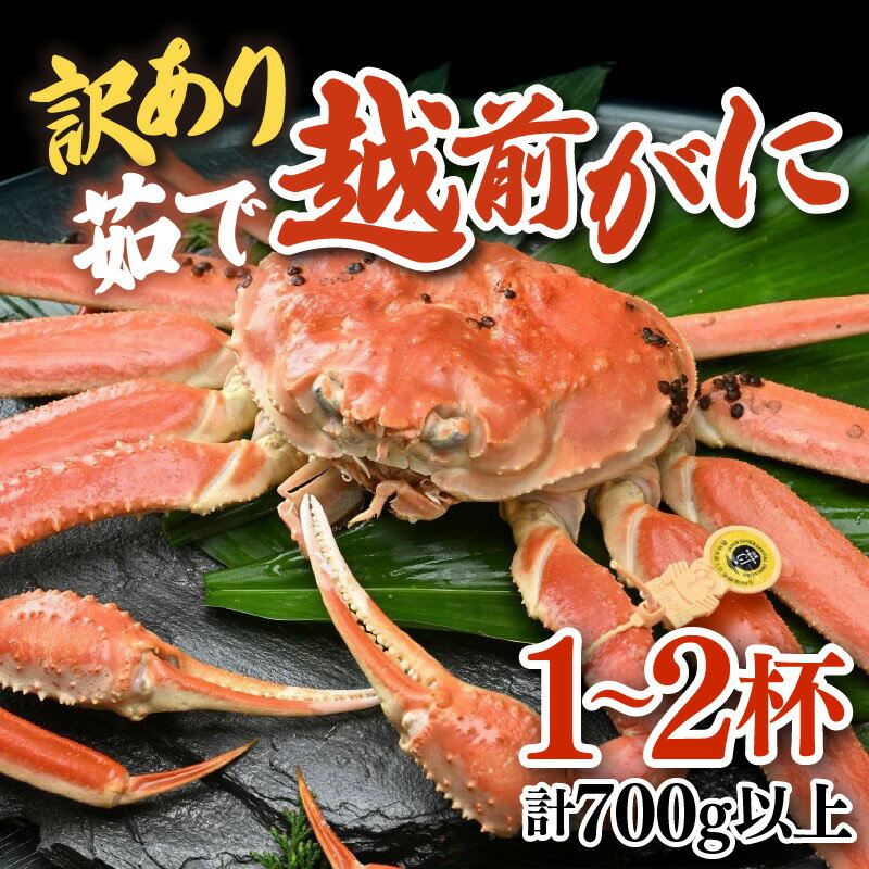 【ふるさと納税】【先行予約】【訳あり】 ズワイガニ ボイル 越前がに 1〜2杯 (計700g以上)新鮮茹でたてを発送/ずわいがに 越前ガニ 越前蟹 福井 冷蔵 ...