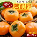 11位! 口コミ数「6件」評価「4.17」【先行予約】越前柿 16~20玉入 M~2L 《種なしで食べやすく甘い!》 あわらブランド / 期間限定 果物 フルーツ 産地直送 旬 お取り寄せ ※2025年10月中旬以降順次発送