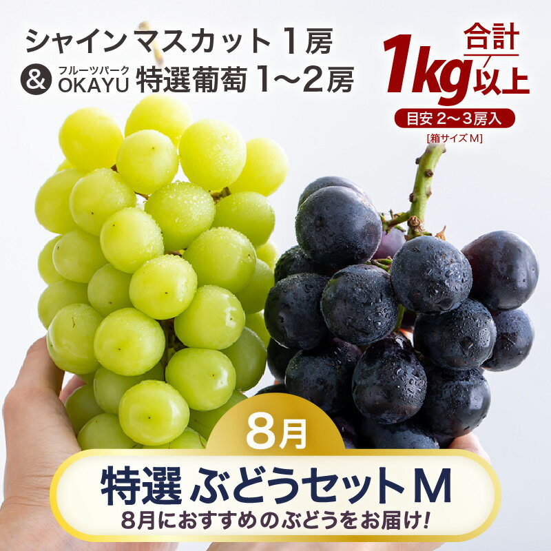 【ふるさと納税】【先行予約】8月特選 ぶどうセットM 1kg以上(2~3房)/ 葡萄 シャインマスカット シャイン 品種 おまかせ あわら 農家おすすめ ※2025年8月より順次発送