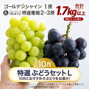 【ふるさと納税】【先行予約】10月特選 ぶどうセットL 1.7kg以上(3〜4房)/ 葡萄 シャインマスカット 完熟 ゴールデン シャイン 品種 おまかせ あわ...