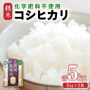 【ふるさと納税】先行予約】【令和7年産 新米】 化学肥料不使用コシヒカリ 精米5kg(5kg×1袋) / 白米 米 福井県あわら市産 美味しい 特別栽培米 減農...