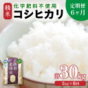 【ふるさと納税】【先行予約】【令和7年産 新米】【定期便6回】 化学肥料不使用コシヒカリ 精米 5kg×6回 (計30kg)/ 白米 米 福井県あわら市産 美味...