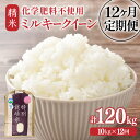 【ふるさと納税】【先行予約】【令和7年産】定期便 ≪12ヶ月連続お届け≫ 化学肥料不使用 特別栽培米 ミルキークイーン 精米 10kg × 12回(計120kg)/ 白米 米 福井県あわら市産 美味しい 特別栽培米 減農薬 安心な米 もっちり 冷蔵保管米 ※2025年10月上旬より順次発送