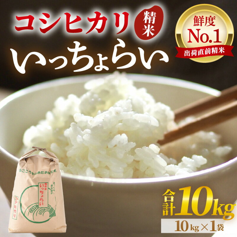 福井県あわら市の画像2