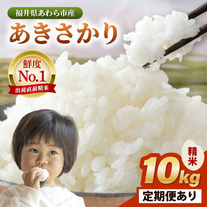 令和7年産 あきさかり 精米 10kg × 1袋[選べる回数]1回 / 3回 / 6回 / 12回 / 10キロ 定期便 福井県 あわら 北陸 米 こめ コメ kome お米 新米 令和7年