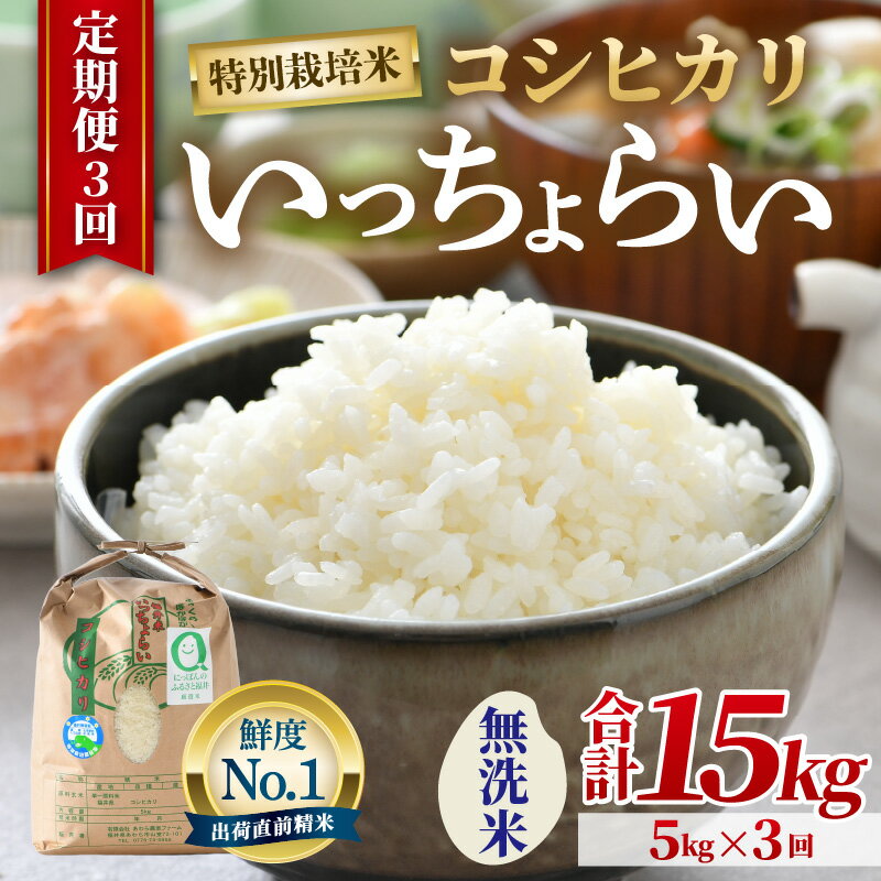 ڤդ뤵Ǽǡۡͽۡ7ǯơۡڰơۡ3̺ ä餤 ̵ 5kg  3ʷ15kgˡ ...