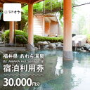 【ふるさと納税】あわら温泉 宿泊利用券 30,000円分 l 宿泊券 利用券 旅館 ホテル チケット ペア 観光 旅行 源泉 大浴場 露天風呂 5つ星の宿プラチ...