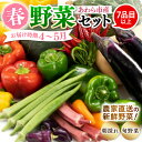 【ふるさと納税】【先行予約】農家直送 春野菜セット 1箱 7品目以上 《元気に育った新鮮野菜!》/ 5000円 季節 春 野菜 ボックス BOX セット セレク...