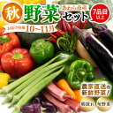 【ふるさと納税】【先行予約】農家直送 秋野菜セット 1箱 7品目以上 《元気に育った新鮮野菜!》/ 5000円 季節 秋 野菜 ボックス BOX セット セレク...