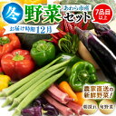 【ふるさと納税】【先行予約】農家直送 冬野菜セット 1箱 7品目以上 《元気に育った新鮮野菜!》/ 5000円 季節 冬 野菜 ボックス BOX セット セレク...