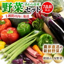 【ふるさと納税】【1週間以内に発送!】農家直送 旬の野菜セット 7品目以上 1箱 / 5000円 季節 野菜 ボックス BOX セット セレクト 農家 おまかせ...