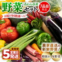 【ふるさと納税】【単発便5営業日発送!】農家直送 旬の野菜セット 7品目以上 1箱【選べる回数】1回 3回 6回 12回 / 定期便 単発 3ヶ月 6ヶ月 12ヶ月 季節 野菜 ボックス BOX セット セレクト 農家 おまかせ 多品目 旬 詰め合わせ 根菜 葉物