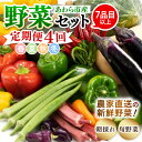 【ふるさと納税】<定期便 4回> 新鮮野菜セット 1箱 7品目以上 【春 夏 秋 冬 発送】/ 季節 野菜 ボックス BOX セット セレクト 農家 おまかせ ...