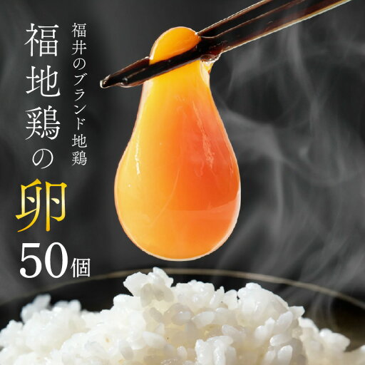 【ふるさと納税】濃厚で甘くておいしい! 福井ブランド「福地鶏」の卵 50個(25個入×2段) / 卵 たまご 鶏卵 生卵 有精卵 高級 高級卵 福地鶏 鶏 平飼い 美味しい こだわり 卵かけご飯 料理 あわら市 福井県産 【ふるさと納税】濃厚で甘くておいしい! 福井ブランド「福地鶏」の卵 50個(25個入×2段) / 卵 たまご 鶏卵 生卵 有精卵 高級 高級卵 福地鶏 鶏 平飼い 美味しい こだわり 卵かけご飯 料理 あわら市 福井県産