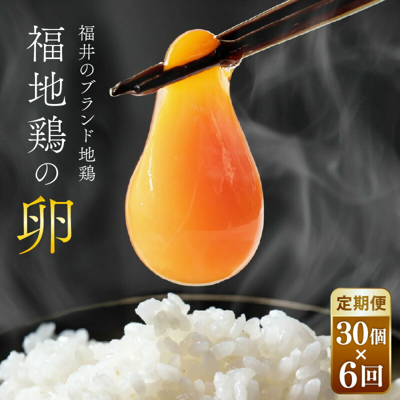 【ふるさと納税】【6ヶ月連続お届け】 福井ブランド 「福地鶏」 の卵 30個 濃厚で甘くておいしい! 定期便 / 卵 たまご 鶏卵 生卵 有精卵 高級 高級卵 福地鶏 鶏 平飼い 美味しい こだわり 6ヶ月 定期便 卵かけご飯 料理 あわら市 福井県産