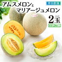 【ふるさと納税】【先行予約】アムス・マリアージュメロン 2種(1.3kg以上 2玉入)農園1番のおすすめ! / 期間限定 数量限定 果物 フルーツ 青肉 赤肉 産地直送 ※2026年7月上旬より順次発送